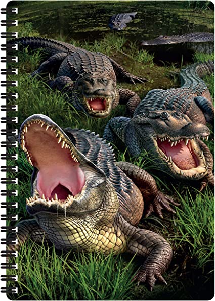 3D LiveLife Notebooks - Gator Bog