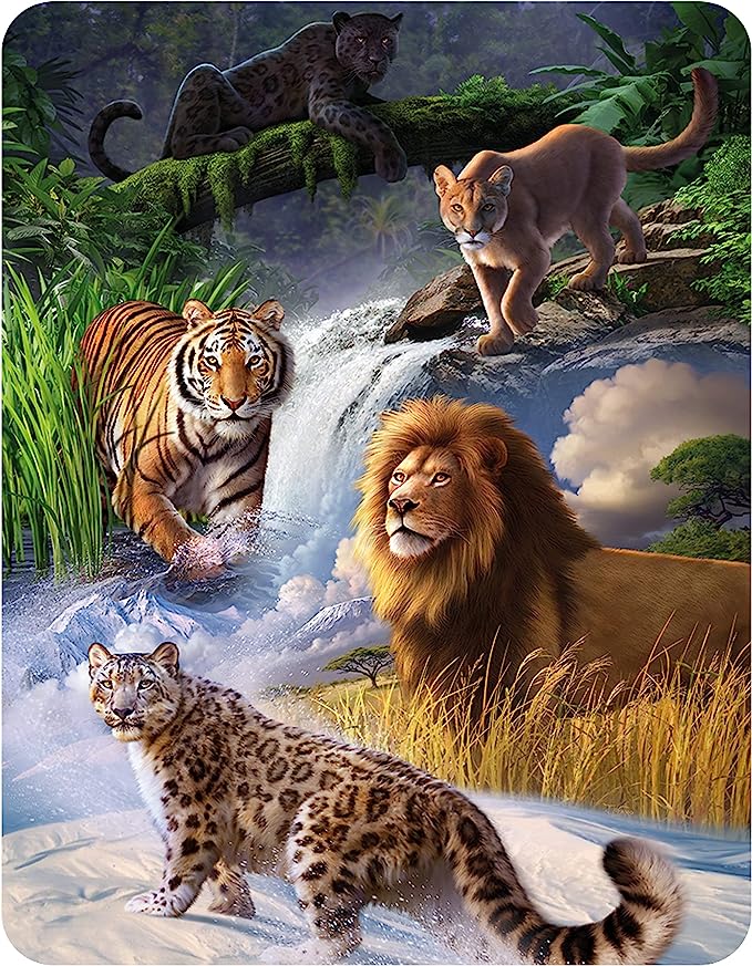 3D LiveLife Magnets - Big Cats Expedition