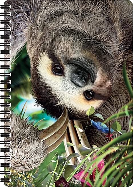 3D LiveLife Notebooks - Hangin' Around