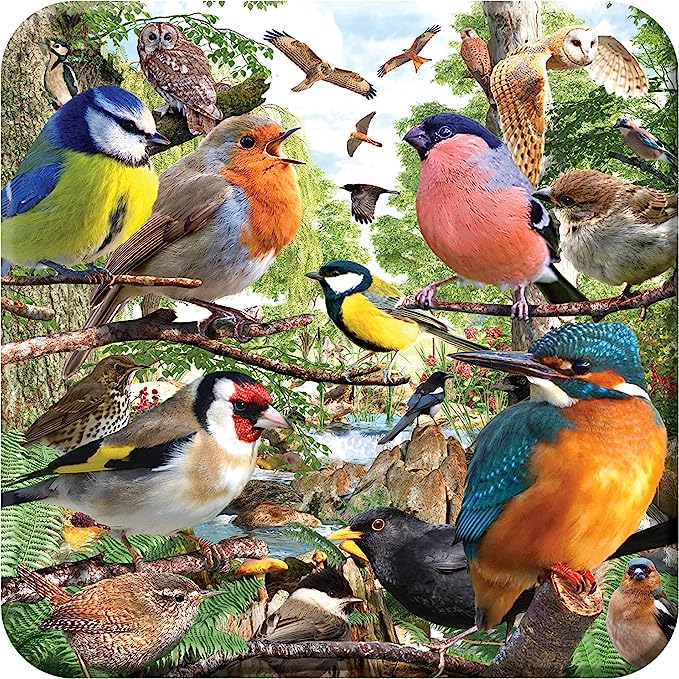 3D LiveLife Coasters - Nature's Home