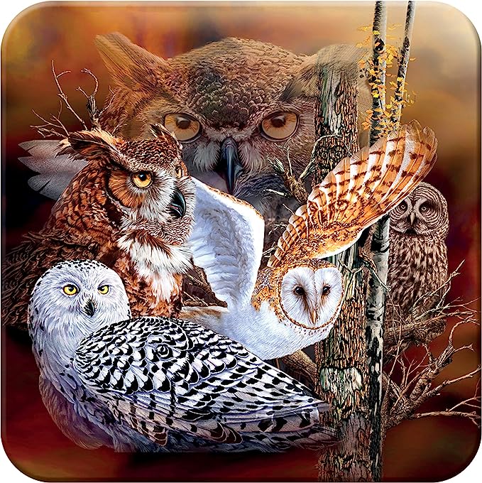 3D LiveLife Coasters - Owl Woods