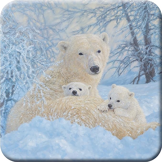 3D LiveLife Coasters - Northern Family