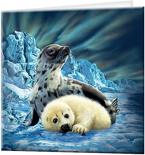 3D LiveLife Greetings Cards - Harp Seals