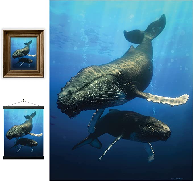 3D LiveLife Pictures - Blue Whale