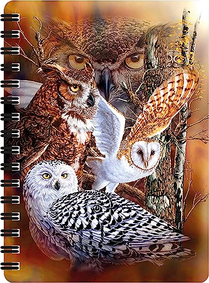 3D LiveLife Jotters - Owl Woods