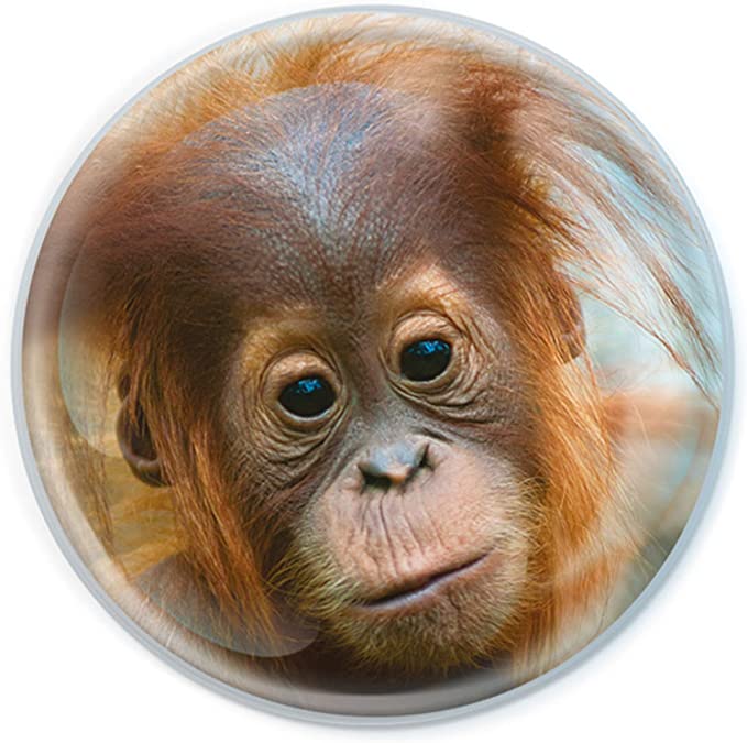Magnidomes - Orangutan