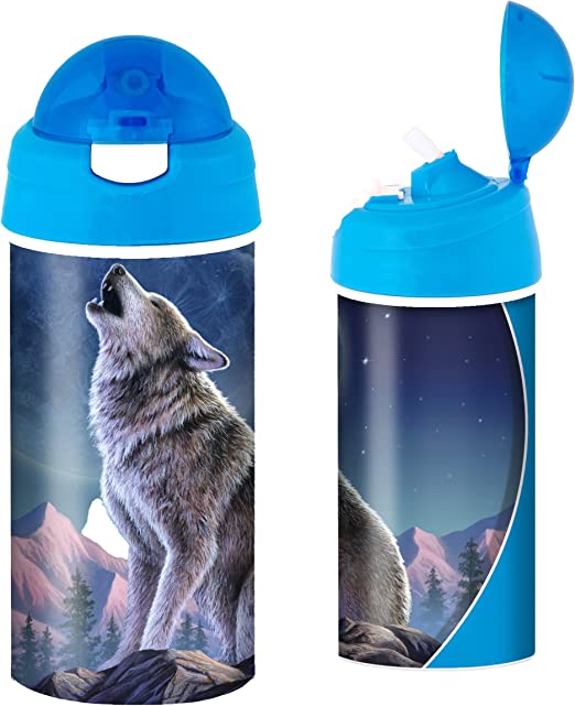 3D LiveLife Drinking Bottles - Moonlight Sonata