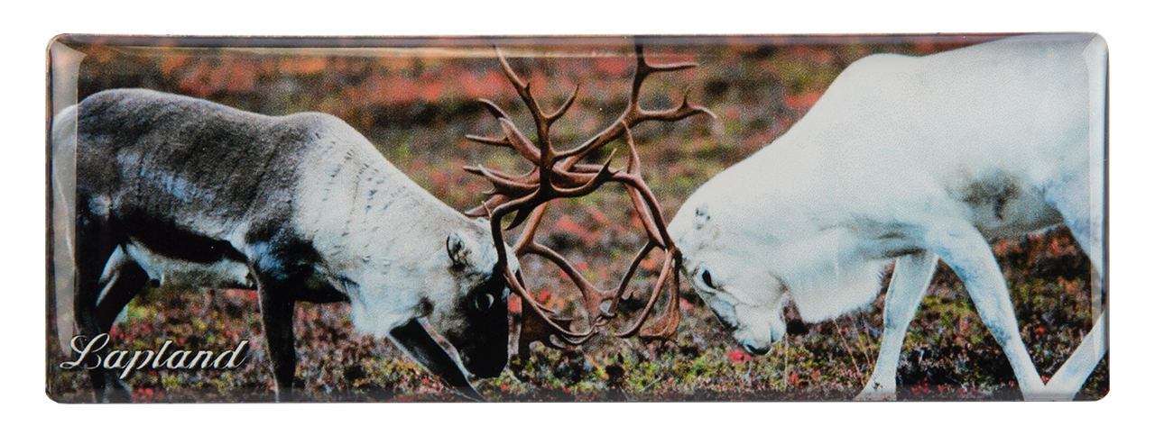 Lapin Taistelevat Porot Panoraama Kuvamagneetti