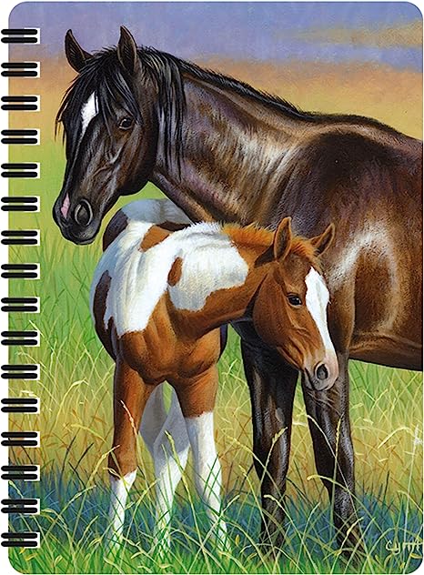 3D LiveLife Jotters - Mare & Foal