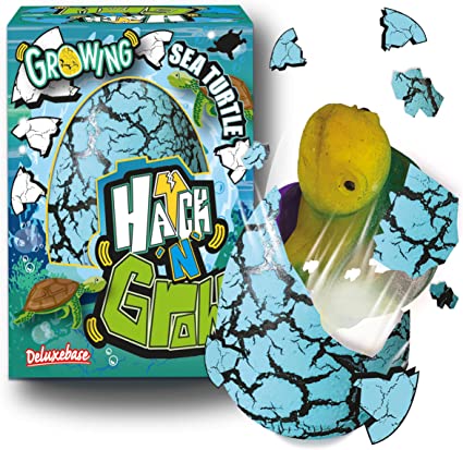 Hatch ' N' Grow - Sea Turtle