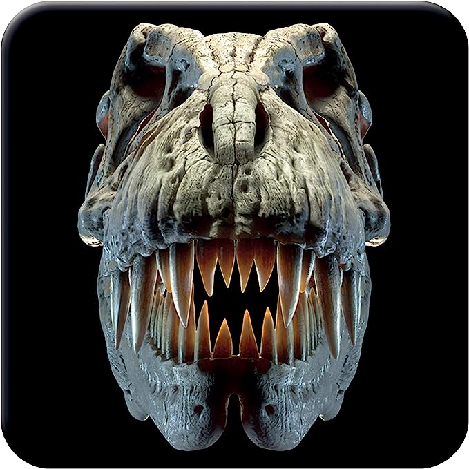 3D LiveLife Coasters - T-Rex Skull