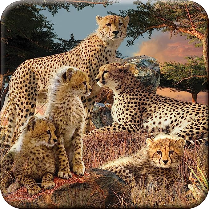 3D LiveLife Coasters - Cheetah Clan