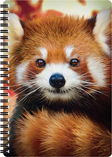 3D LiveLife Notebooks - Baby Red Panda