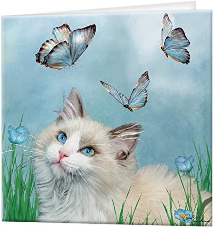 3D LiveLife Greetings Cards - Ragdoll & Butterfli