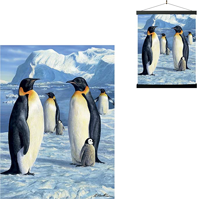 3D LiveLife Pictures - Antarctic Majesty