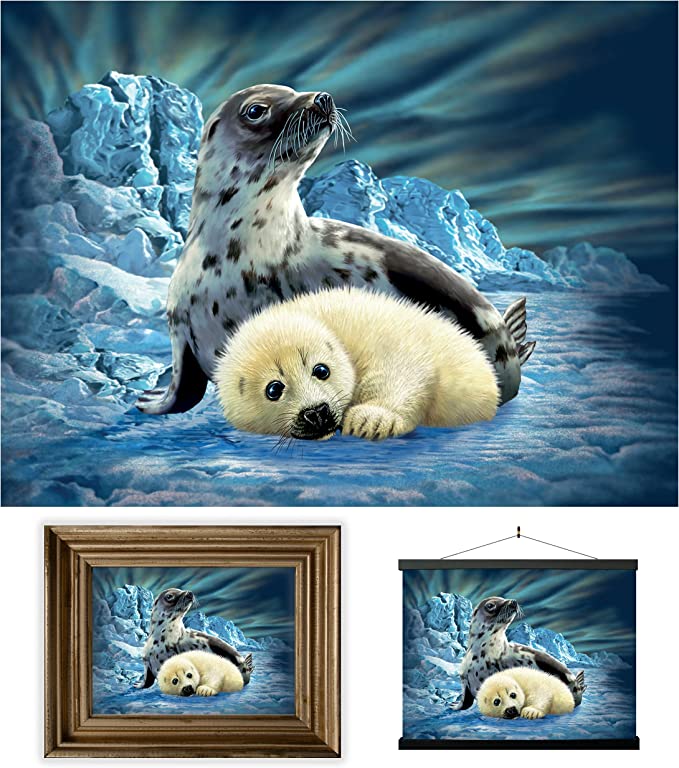 3D LiveLife Pictures - Harp Seals