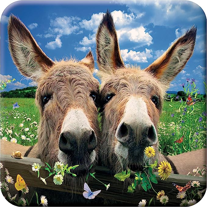 3D LiveLife Coasters - Donkeys