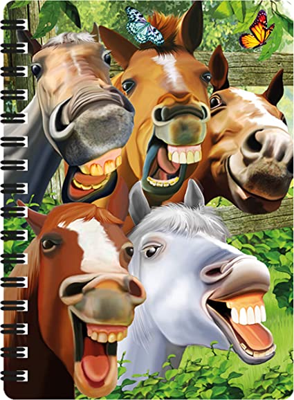 3D LiveLife Jotters - Horsing Around