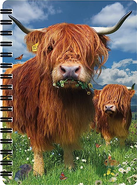 3D LiveLife Jotters - Highland Cattle