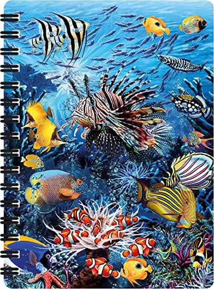 3D LiveLife Jotters - Wonders of the Reef