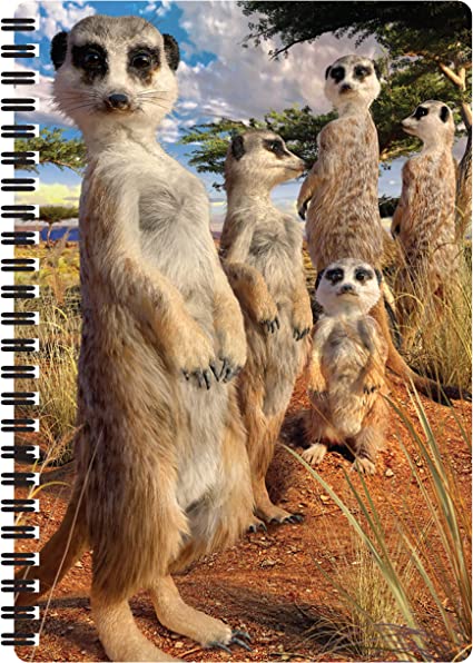 3D LiveLife Notebooks - Meerkat Gaze