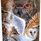 3D LiveLife Cups - Owl Woods