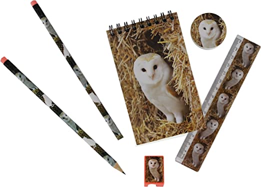 Wild Stationery Set - Owl