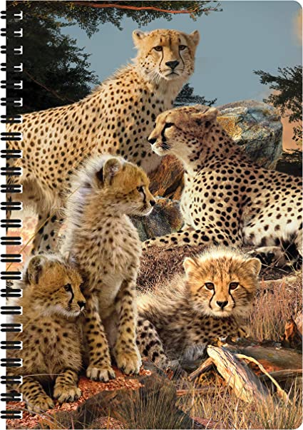 3D LiveLife Notebooks - Cheetah Clan