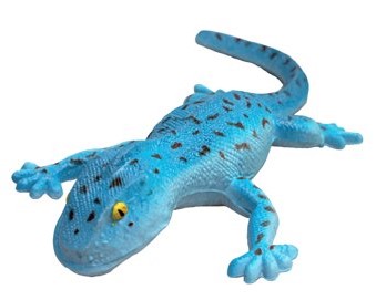 Rep Pals - Tokay Lizard