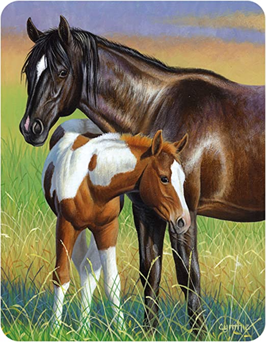 3D LiveLife Magnets - Mare & Foal