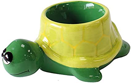 Crockery Critters Egg Cup - Sea Turtle