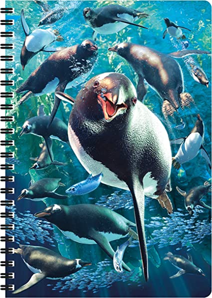 3D LiveLife Notebooks - Gentoo Penguin