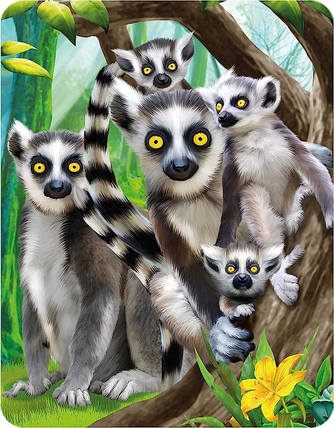 3D LiveLife Magnets - Ring-Tailed Lemurs