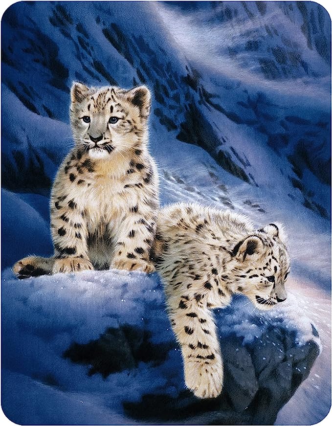 3D LiveLife Magnets - Snow Leopard Cubs