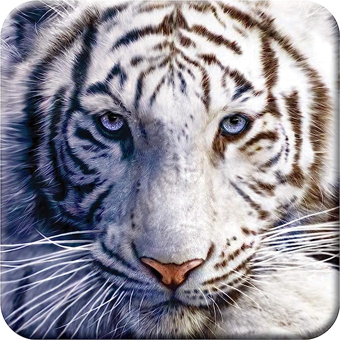 3D LiveLife Coasters - White Tiger Repose