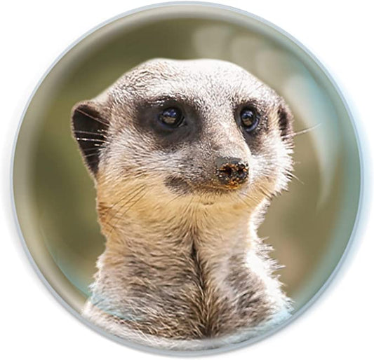 Magnidomes - Meerkat