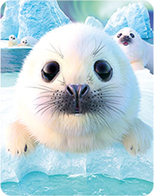 3D LiveLife Magnets - Seal Pups