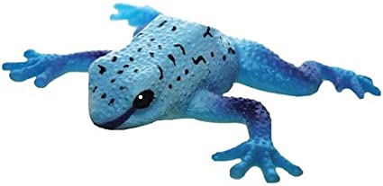 Rep Pals - Blue Poison Arrow Dart Frog