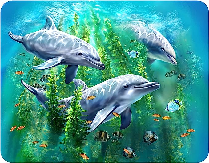 3D LiveLife Magnets - Dolphin Kelp Bed